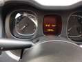 Fiat Panda Cross 1.0 FireFly S&S Hybrid 70 CV CROSS Wit - thumbnail 13