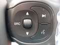 Fiat Panda Cross 1.0 FireFly S&S Hybrid 70 CV CROSS Wit - thumbnail 15