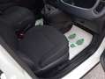 Fiat Panda Cross 1.0 FireFly S&S Hybrid 70 CV CROSS Wit - thumbnail 12