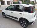 Fiat Panda Cross 1.0 FireFly S&S Hybrid 70 CV CROSS Wit - thumbnail 8
