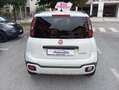 Fiat Panda Cross 1.0 FireFly S&S Hybrid 70 CV CROSS Wit - thumbnail 5
