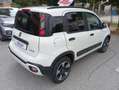 Fiat Panda Cross 1.0 FireFly S&S Hybrid 70 CV CROSS Wit - thumbnail 4
