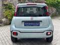 Fiat Panda 1.0 City Cross Hybrid Launch Edition Groen - thumbnail 3