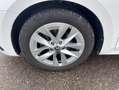 Skoda Octavia Combi 1.5 TSI 17"+NAVI-COLUMBUS+LED+AHK+ Weiß - thumbnail 8