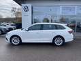 Skoda Octavia Combi 1.5 TSI 17"+NAVI-COLUMBUS+LED+AHK+ Weiß - thumbnail 2