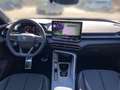 CUPRA Terramar 1.5 eTSI DSG+AHK+HuD+NAVI+el. Klappe Schwarz - thumbnail 13