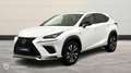 Lexus NX 300h 300h 4WD F SPORT Executive - thumbnail 1