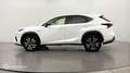Lexus NX 300h 300h 4WD F SPORT Executive - thumbnail 7