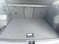 Volkswagen Tiguan Friends TDI DSG Grau - thumbnail 13