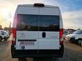 Citroen Jumper 35 L3H2 verglast 7-Sitzer Rollstuhlrampe Blanc - thumbnail 5