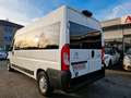 Citroen Jumper 35 L3H2 verglast 7-Sitzer Rollstuhlrampe Blanc - thumbnail 6
