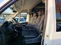 Citroen Jumper 35 L3H2 verglast 7-Sitzer Rollstuhlrampe Blanc - thumbnail 11