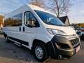 Citroen Jumper 35 L3H2 verglast 7-Sitzer Rollstuhlrampe Blanc - thumbnail 3