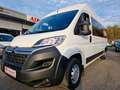 Citroen Jumper 35 L3H2 verglast 7-Sitzer Rollstuhlrampe Blanc - thumbnail 2