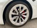Tesla Model 3 Model 3 Long-Range Dual Motor Blanco - thumbnail 19