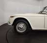 Triumph TR4 TR4 A IRS Blanc - thumbnail 18