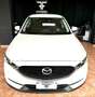 Mazda CX-5 2.2 SKY ACTIV 2wd 150cv 6at Bianco - thumbnail 1