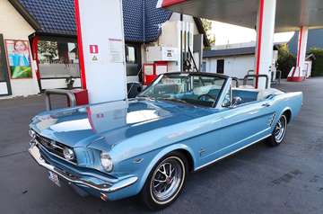 cabrio V8 pony interieur Gt 1966