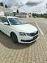 Skoda Octavia Combi 1.6 TDI Ambition - thumbnail 4
