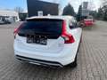 Volvo V60 Cross Country Summum AWD Absolut Voll , 5Zyl Wit - thumbnail 4