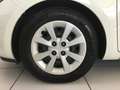 Kia Rio Rio 1.2 CVVT 3p. Active - thumbnail 9