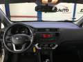 Kia Rio Rio 1.2 CVVT 3p. Active - thumbnail 11