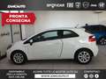 Kia Rio Rio 1.2 CVVT 3p. Active - thumbnail 1