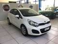 Kia Rio Rio 1.2 CVVT 3p. Active - thumbnail 3