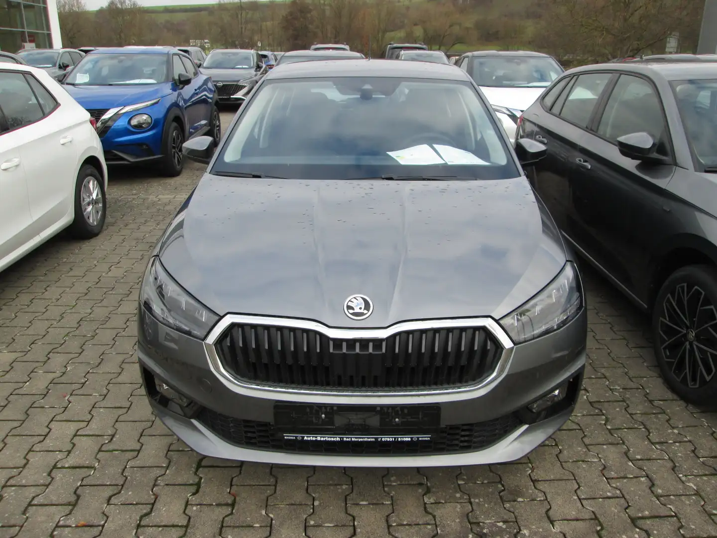 Skoda Fabia Selection EU-Import Grijs - 2