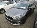 Skoda Fabia Selection EU-Import Grijs - thumbnail 1