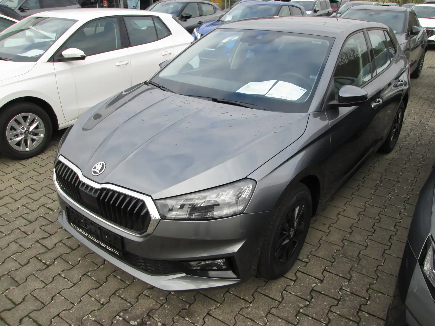 Skoda Fabia Selection EU-Import Grijs - 1
