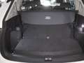 Volkswagen Tiguan Allspace Life 1.5TSI DSG 304,-ohne Anzahlung 7-Sitzer AHK Weiß - thumbnail 12