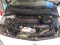 Mercedes-Benz B 200 B 200 NGD Gas Natural Comprimido Blanco - thumbnail 12