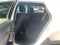 Audi A1 35 1.5 tfsi Admired s-tronic my20 Blanc - thumbnail 13