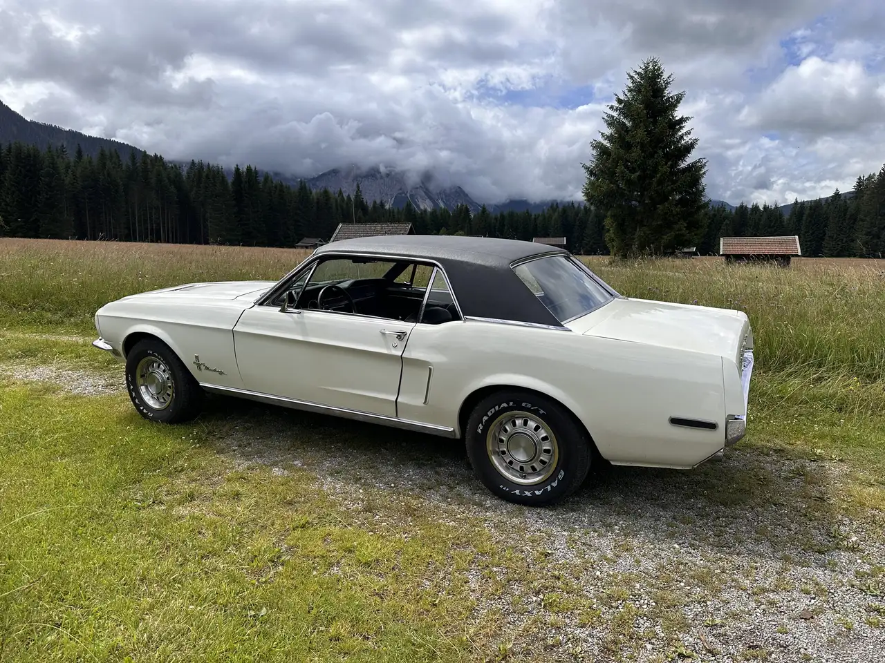 Ford Mustang, foto 4