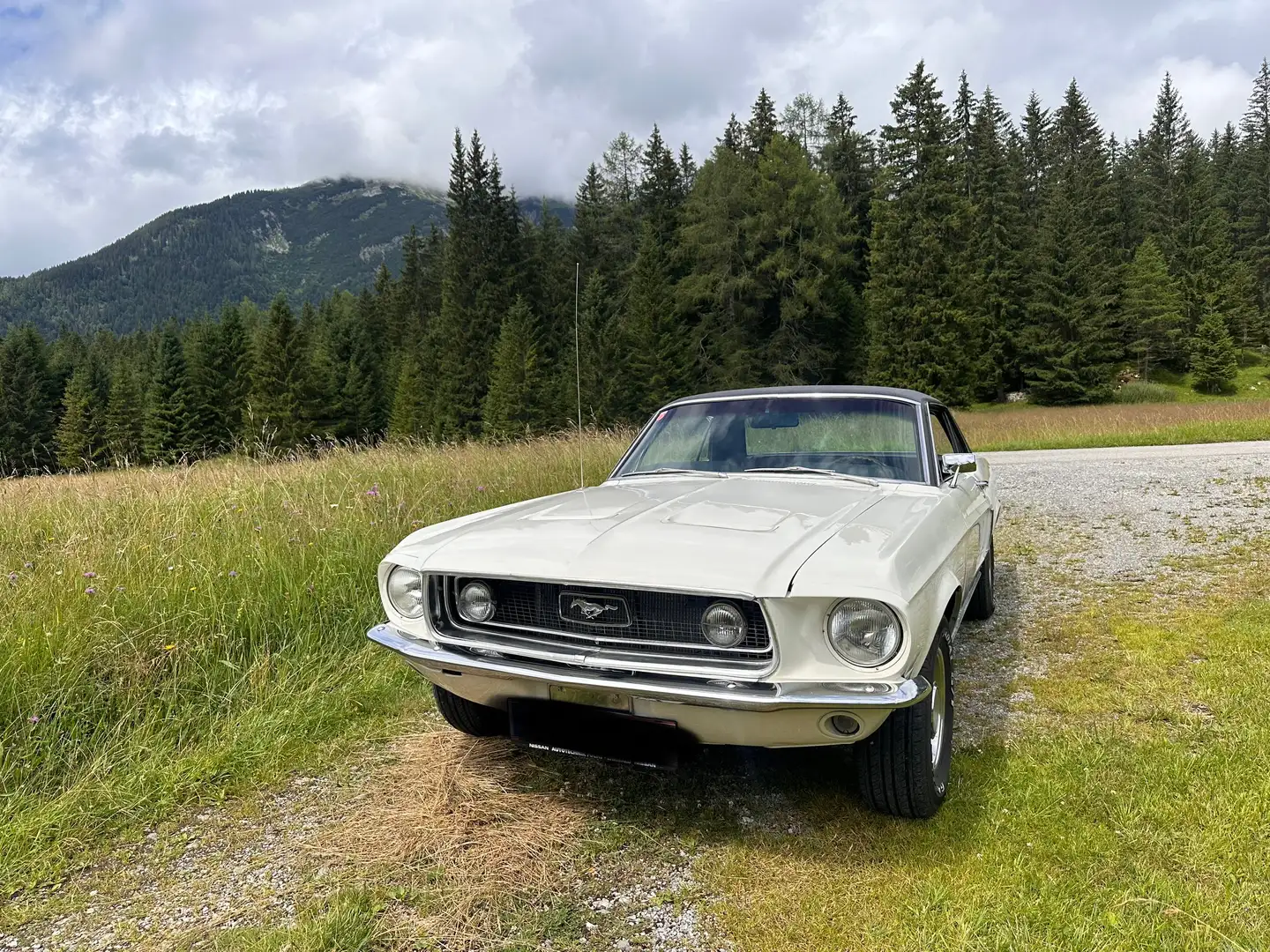 Ford Mustang Weiß - 2