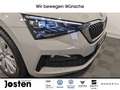 Skoda Scala Style 1.0 TSI Virtual DAB CarPlay PDCv+h Grau - thumbnail 20
