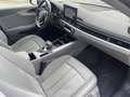 Audi A5 A5 Sportback 40 2.0 tdi Business quattro 190cv s- Gris - thumbnail 11