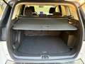 Ford Kuga 2.0L EcoBoost 4WD Weiß - thumbnail 13