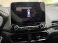 Ford EcoSport 1.0 EcoBoost Titanium Winterpaket*PDC*Klima Bleu - thumbnail 9