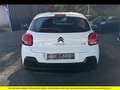Citroen C3 C3 PureTech 83 S\u0026amp;S BVM5 Feel Business Blanc - thumbnail 5