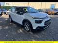 Citroen C3 C3 PureTech 83 S\u0026amp;S BVM5 Feel Business Blanc - thumbnail 3