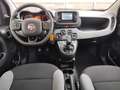 Fiat Panda 1.0 GSE Hybrid Tech-Paket, FlexLight-Paket Grau - thumbnail 9