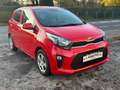 Kia Picanto 1.0 12V EcoGPL 5 porte Cool Rot - thumbnail 4