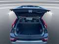 Kia Niro 1.6 gdi hev Evolution dct Blu/Azzurro - thumbnail 12