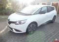 Renault Grand Scenic Business Editioon 1.3 TCe 140 Weiß - thumbnail 1