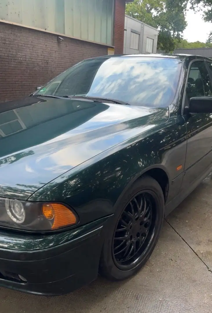 BMW 525 525i Grün - 2