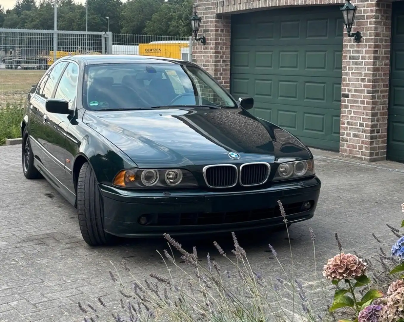 BMW 525 525i Grün - 1