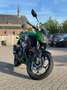 Kawasaki Z 300 ABS Performance Vert - thumbnail 1