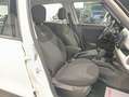 Fiat 500L 500L 1.3 Multijet 95 CV Business Wit - thumbnail 12